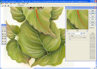 Alivecolors std screenshot