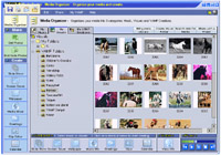 VAMP Media Center screenshot