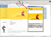 Save Flash  screenshot