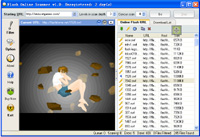 Flash Online Scanner screenshot