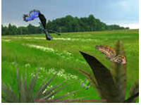 3D Butterfly screenshot