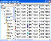 IconChanger screenshot
