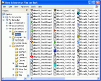 IconChanger screenshot