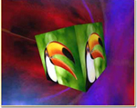 3D Custom Screensaver screenshot