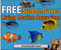 Live 3D Marine Aquarium Screensaver screenshot