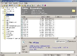 Advanced File Organizer  screenshot
