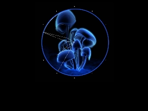 Blue Mushroom Clock Screensaver  screenshot