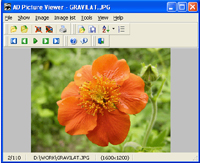 AD Picture Viewer screenshot