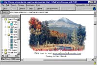 32bit Web Browser screenshot