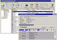 Internet Download Manager screenshot