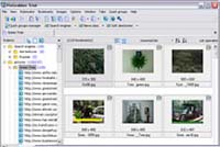 PixGrabber Freeware screenshot