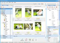 PicaJet Photo Organizer screenshot