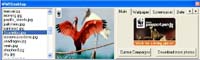 WWFDesktop screenshot