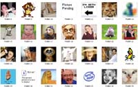 Funny MSN Display Pictures screenshot