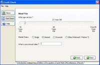 Credit Check Software screenshot