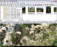 11view screenshot