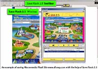 Save Flash screenshot