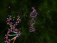 Inside the Cell 3D Screensaver screenshot