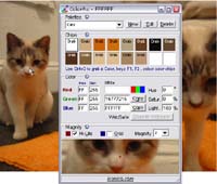 ColorPic screenshot