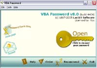VBA Password screenshot