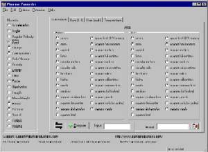 Phoenix Converter screenshot
