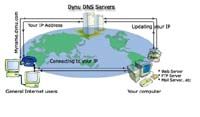 Dynu Basic Dynamic DNS Client screenshot