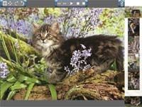 Inzomia image viewer screenshot