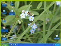 ExterPassive Video Wallpaper screenshot
