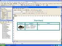 TableReport screenshot
