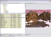 Viewer screenshot