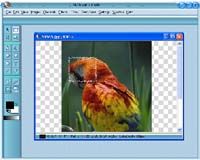 Free Image InDepth screenshot
