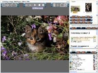 Inzomia viewer screenshot