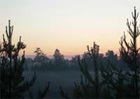 Magic of Morning screenshot