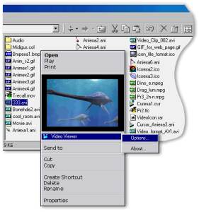 Acloon VideoViewer Captura de pantalla
