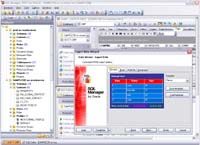 EMS SQL Manager 2007 Lite for Oracle Captura de pantalla