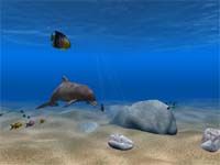 Dolphin Aqua Life 3D Screensaver screenshot