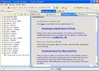 Lively Browser screenshot
