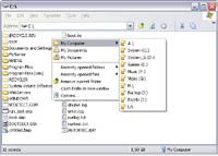 Chameleon Folder screenshot