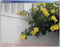 PhotoX Batch Watermark Creator screenshot