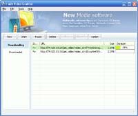 Flash Video Grabber screenshot