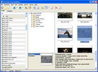 10-Strike SearchMyDiscs screenshot
