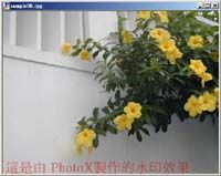 PhotoX Batch Watermark Creator screenshot