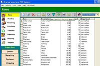 Bronze Inventory POS System screenshot