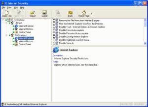 IE Internet Security screenshot