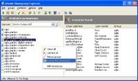 Atomic Newsgroup Explorer screenshot