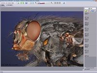 Helicon Focus screenshot