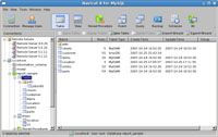 Navicat MySQL administrator Manager for Linux (Freeware available) screenshot