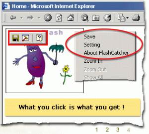 Flash Catcher  screenshot