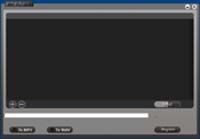 Apis RM to MP3 Converter screenshot