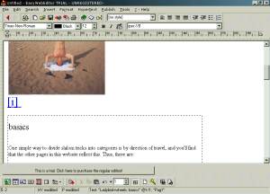 EasyWebEditor screenshot